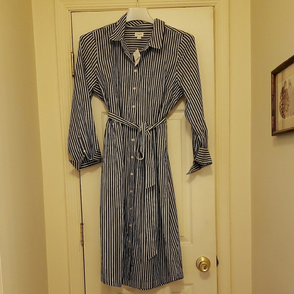 J. Crew Navy Striped Long Sleeve Dress